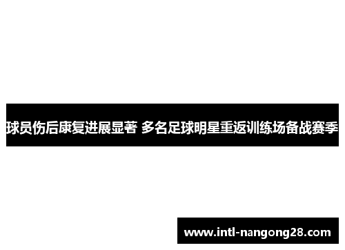 球员伤后康复进展显著 多名足球明星重返训练场备战赛季