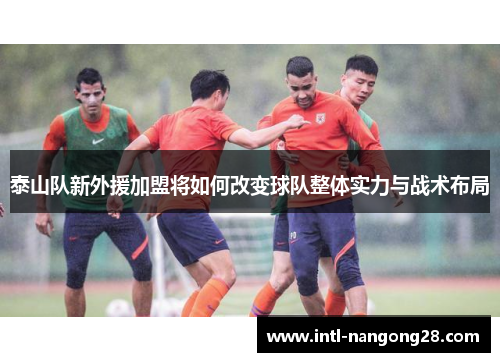 泰山队新外援加盟将如何改变球队整体实力与战术布局