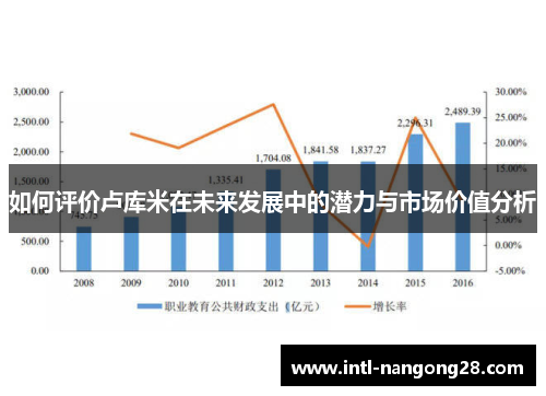 如何评价卢库米在未来发展中的潜力与市场价值分析