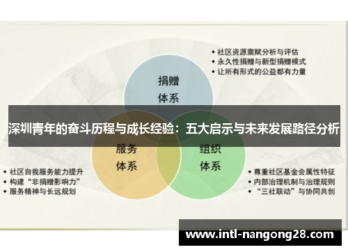 深圳青年的奋斗历程与成长经验：五大启示与未来发展路径分析