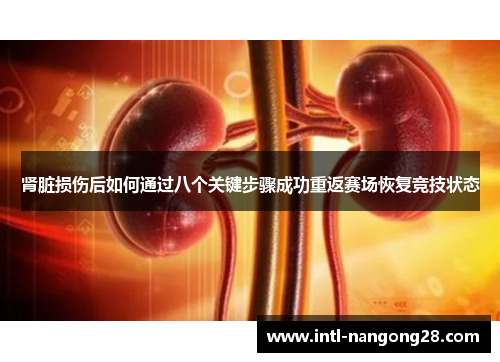 肾脏损伤后如何通过八个关键步骤成功重返赛场恢复竞技状态