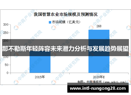 那不勒斯年轻阵容未来潜力分析与发展趋势展望