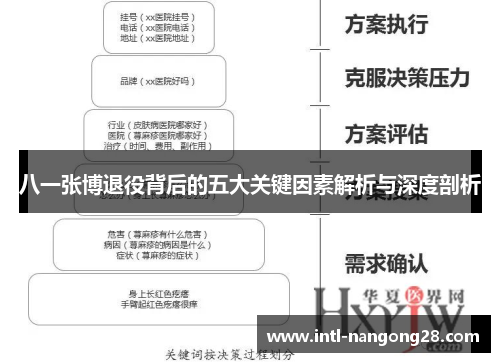 八一张博退役背后的五大关键因素解析与深度剖析