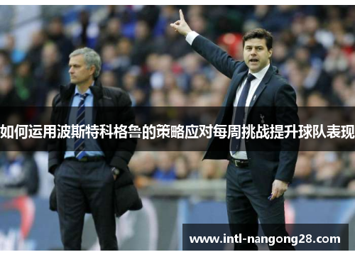 如何运用波斯特科格鲁的策略应对每周挑战提升球队表现