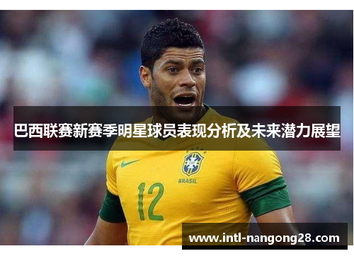 巴西联赛新赛季明星球员表现分析及未来潜力展望