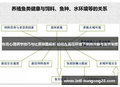 布克心理调节技巧与比赛策略解析 如何在高压环境下保持冷静与高效发挥 布克心理调节技巧与比赛策略解析 如何在高压环境下保持冷静与高效发挥